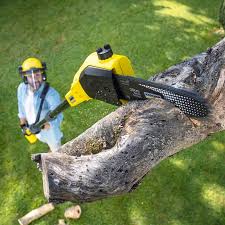 Best Firewood Processing and Delivery  in Manor, TX
